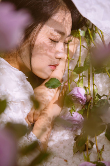 美丽姑娘高清视频免费全集观看